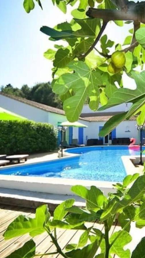 Bize-Minervois La Villa Du Menhir Chambre D'Hotes מראה חיצוני תמונה